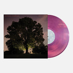 the album cover for Tyler Ramsey/ Broemel,Carl - Celestun - Magenta [Colored Vinyl]