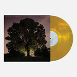 the album cover for Tyler Ramsey/ Broemel,Carl - Celestun [Indie Exclusive] Gold [Colored Vinyl] (Gol) [Indie Exclusive]
