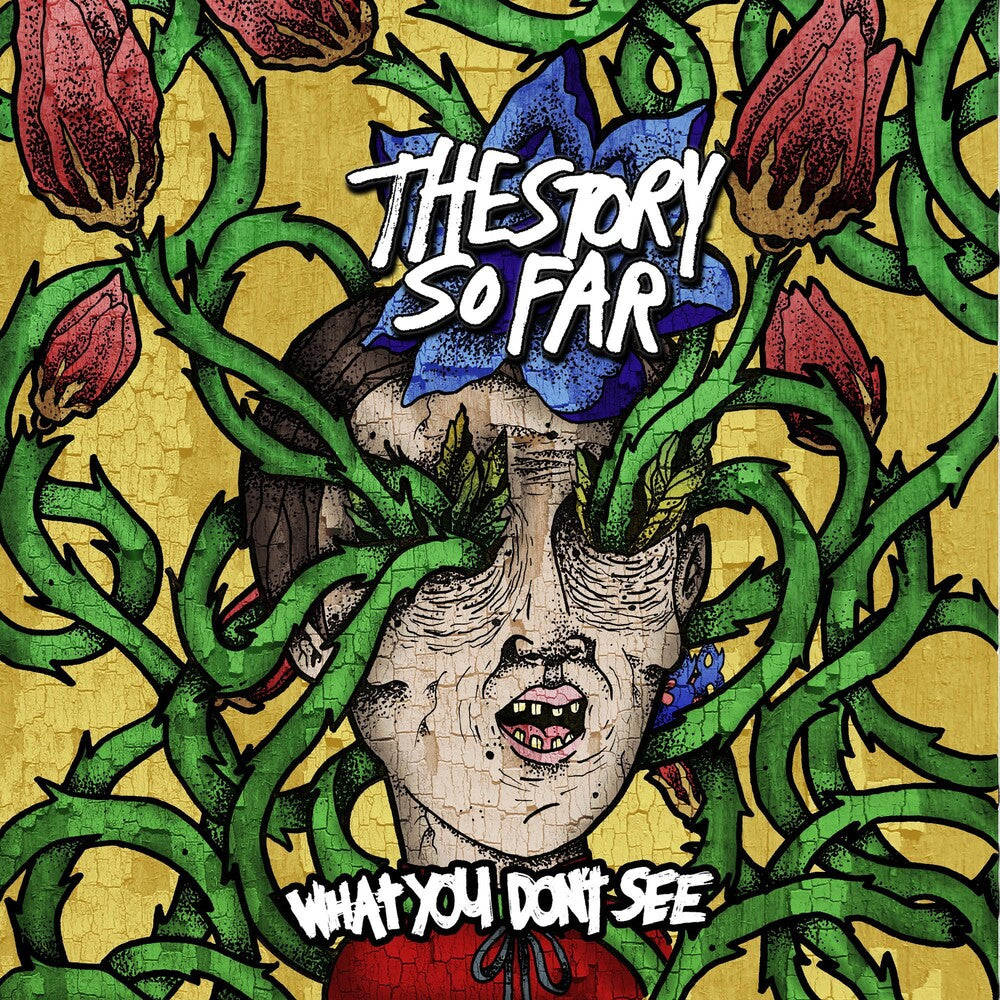 the album cover for The Story So Far - What You Don't See [Blue with White Splatter Colored Vinyl]
