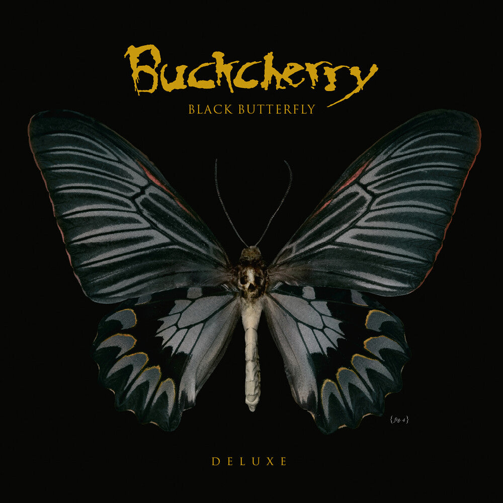 the album cover for Buckcherry - Black Butterfly - Yellow [Colored Vinyl] [Deluxe] (Ofgv) (Ylw)