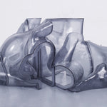 the album cover for Carrier - Rhythm Immortal