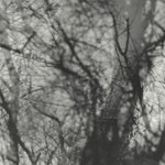 the album cover for Grouper - Way Their Crept [Reissue]