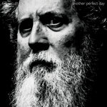 the album cover for Bill Orcutt - Another Perfect Day