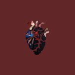 the album cover for Thao & The Get Down Stay Down - Know Better Learn Faster [Colored Vinyl] (Red) (Aniv)