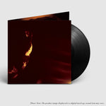 the album cover for Skepticism - Stormcrowfleet (Gate) [With Booklet] (Aniv)