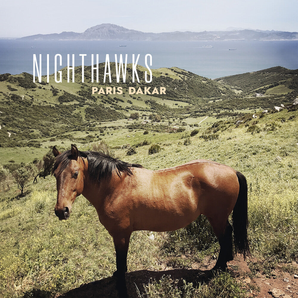the album cover for Nighthawks - Paris Dakar