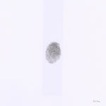 the album cover for Jesso Jr.,Tobias - S H I N E - White [Colored Vinyl] (Wht)