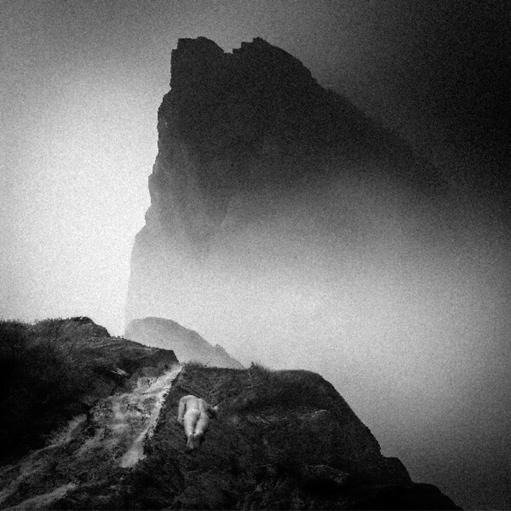 the album cover for Mizmor / Hell - Alluvion