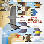 the album cover for Guide to the Birdsong of Migration / Various - Guide To The Birdsong Of Migration / Various