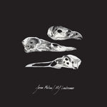 the album cover for Jason Molina/ Mj Lenderman - Last Three Human Words (Demo) / Just Be Simple