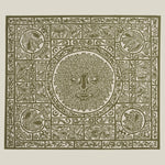 the album cover for Fuzzy Lights - Fen Creatures