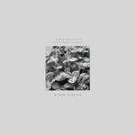 the album cover for Pablo Bolivar/ Alexandra Savvidi - Other Stories