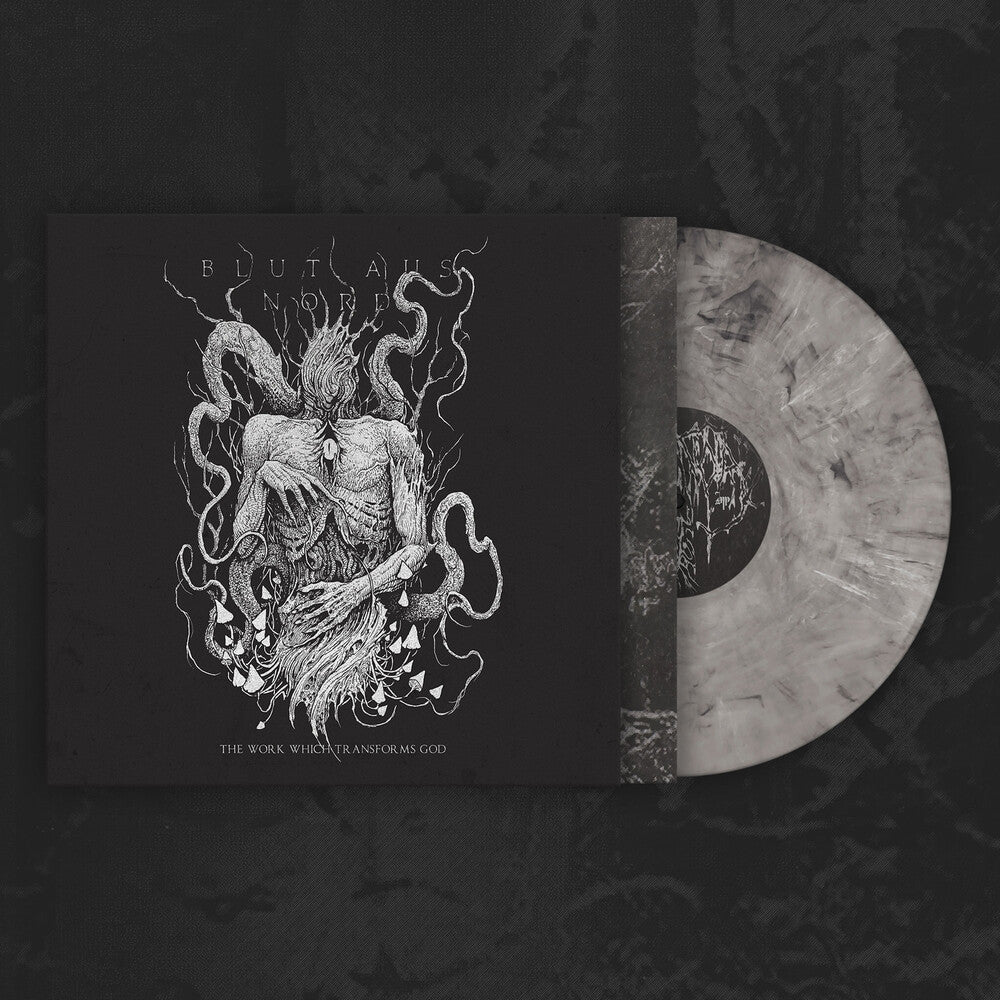the album cover for Blut Aus Nord - Work Which Transforms God (Slip)