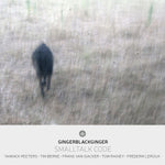 the album cover for Yannick Peeters - Smalltalk Code