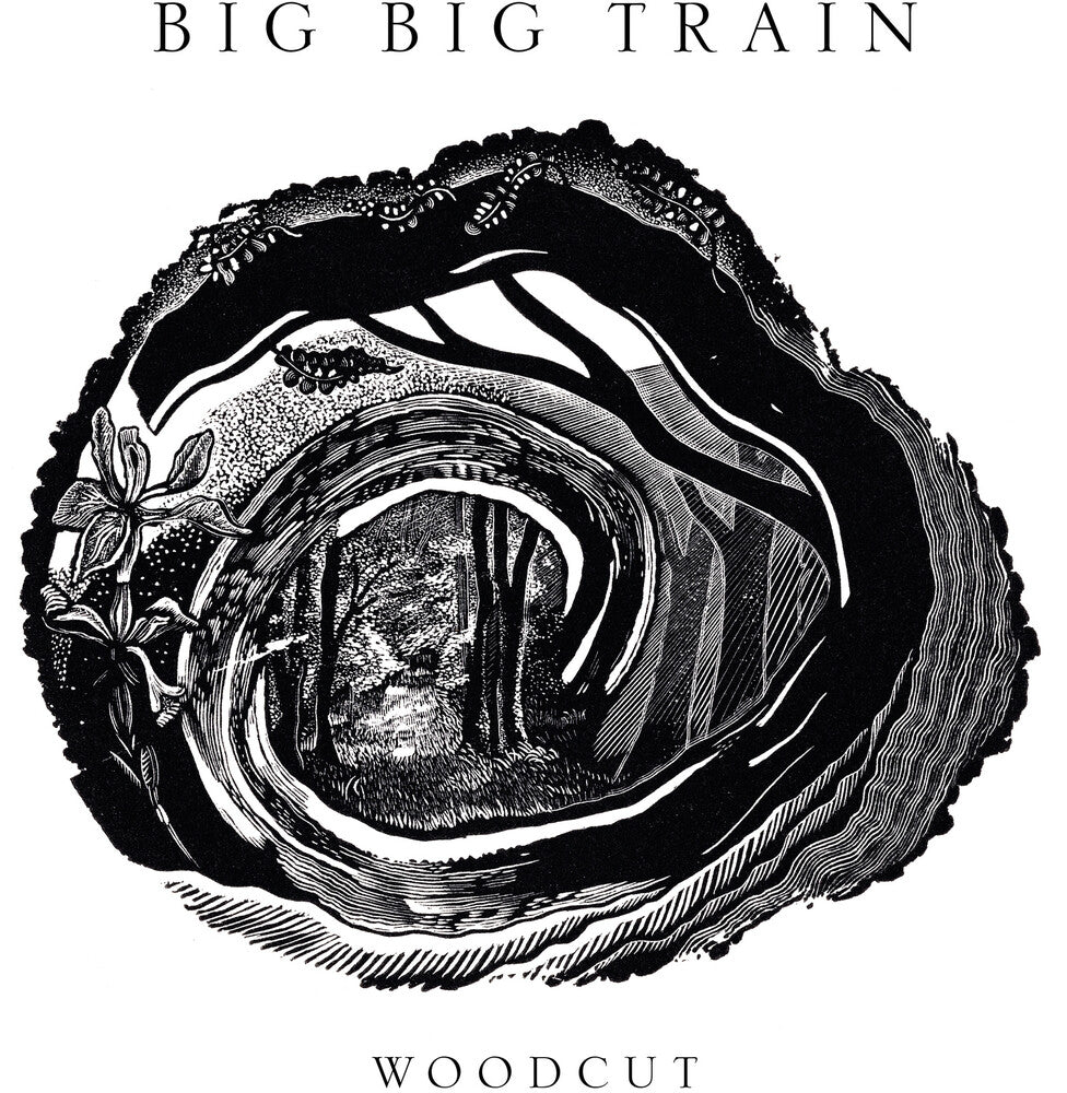 the album cover for Big Big Train - Woodcut