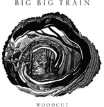 the album cover for Big Big Train - Woodcut