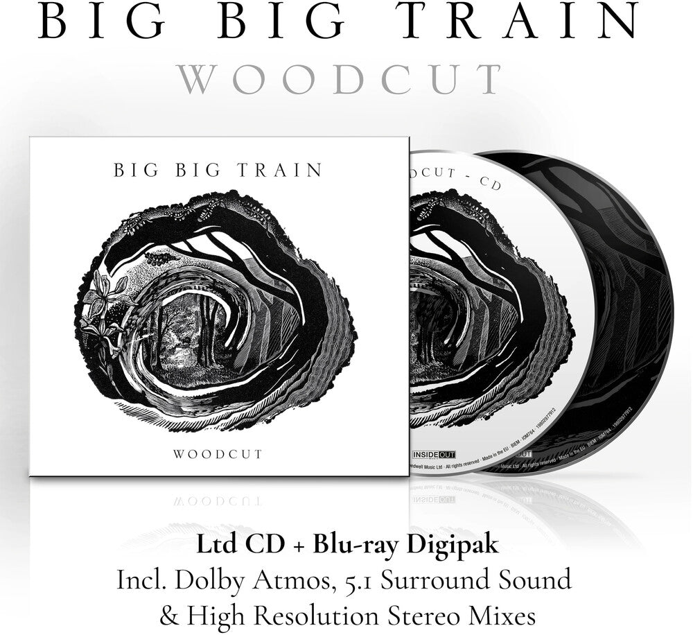 the album cover for Big Big Train - Woodcut