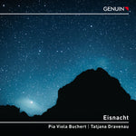 the album cover for Pia BuchertViola - Eisnacht
