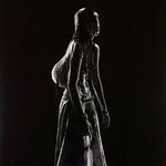 the album cover for Sofia Isella - I'm Camera - Cloudy Gold [Colored Vinyl] (Gol) (Wht)