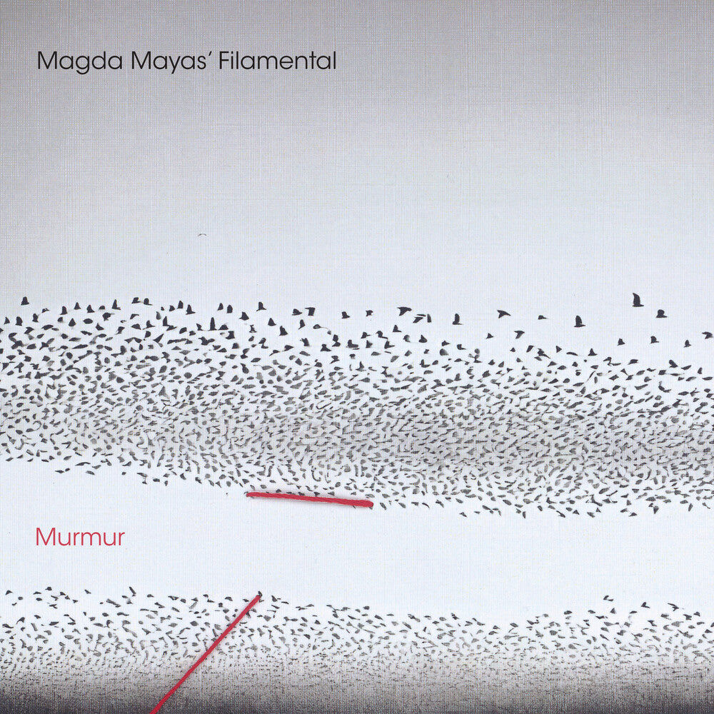 the album cover for Magda Mayas Filamental - Murmur
