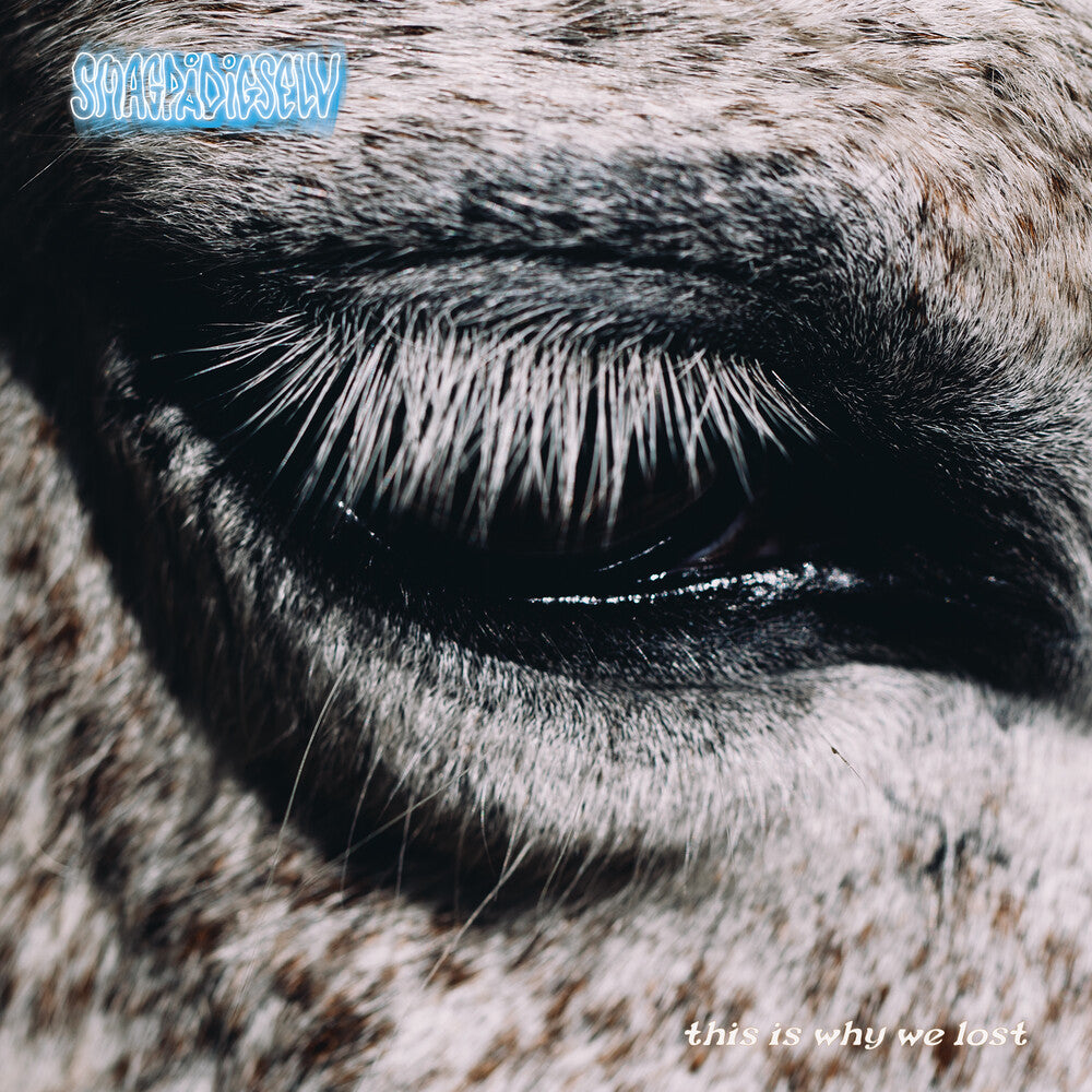 the album cover for Smag På Dig Selv - This Is Why We Lost