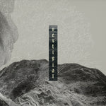 the album cover for Vestigial - Descending Vastness