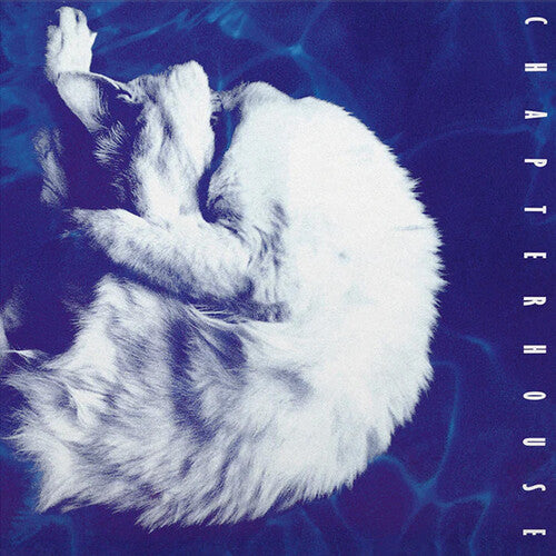 Chapterhouse - Whirlpool (Limited 180-Gram White & Black Marble Colored Vinyl)