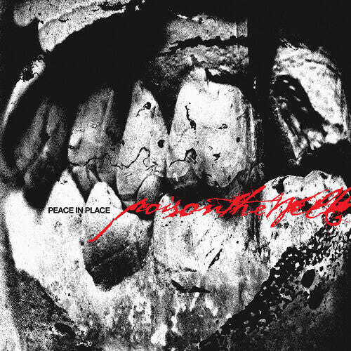 Poison the Well -Peace In Place (clear) (vinyl)