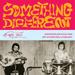 the album cover for John Bilezikjian/ Zahr,Raja - Something Different