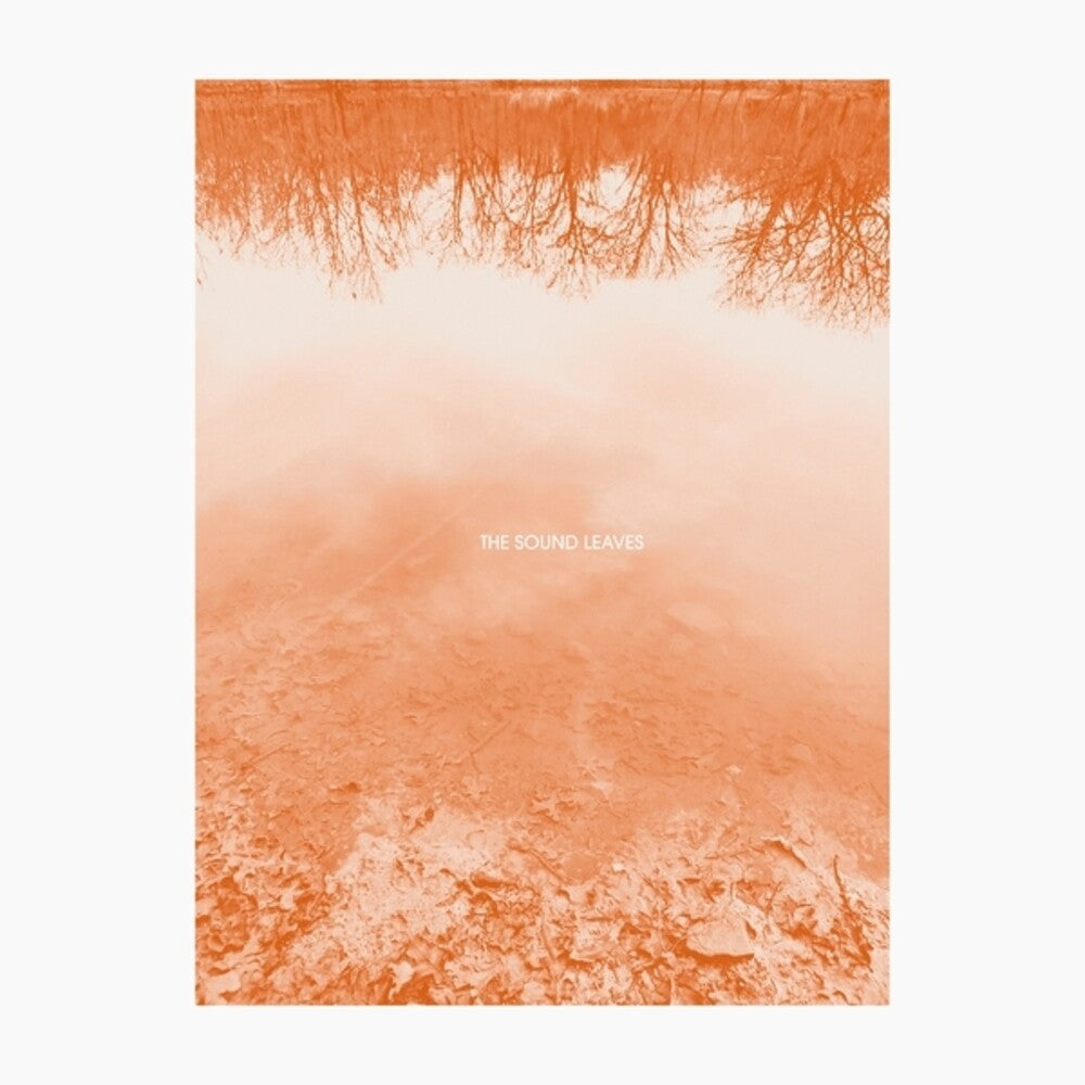 the album cover for Brad RoseE - Sound Leaves