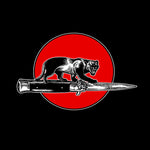 the album cover for Jim JonesAll Stars - Cat Fight