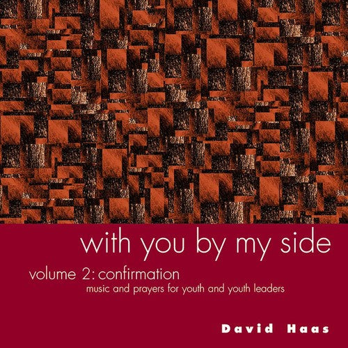 the album cover for David Haas - With You By My Side, Vol. 2