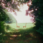 the album cover for Ratboys - Singin' to an Empty Chair [Indie Exclusive Brown and Green Marbled]