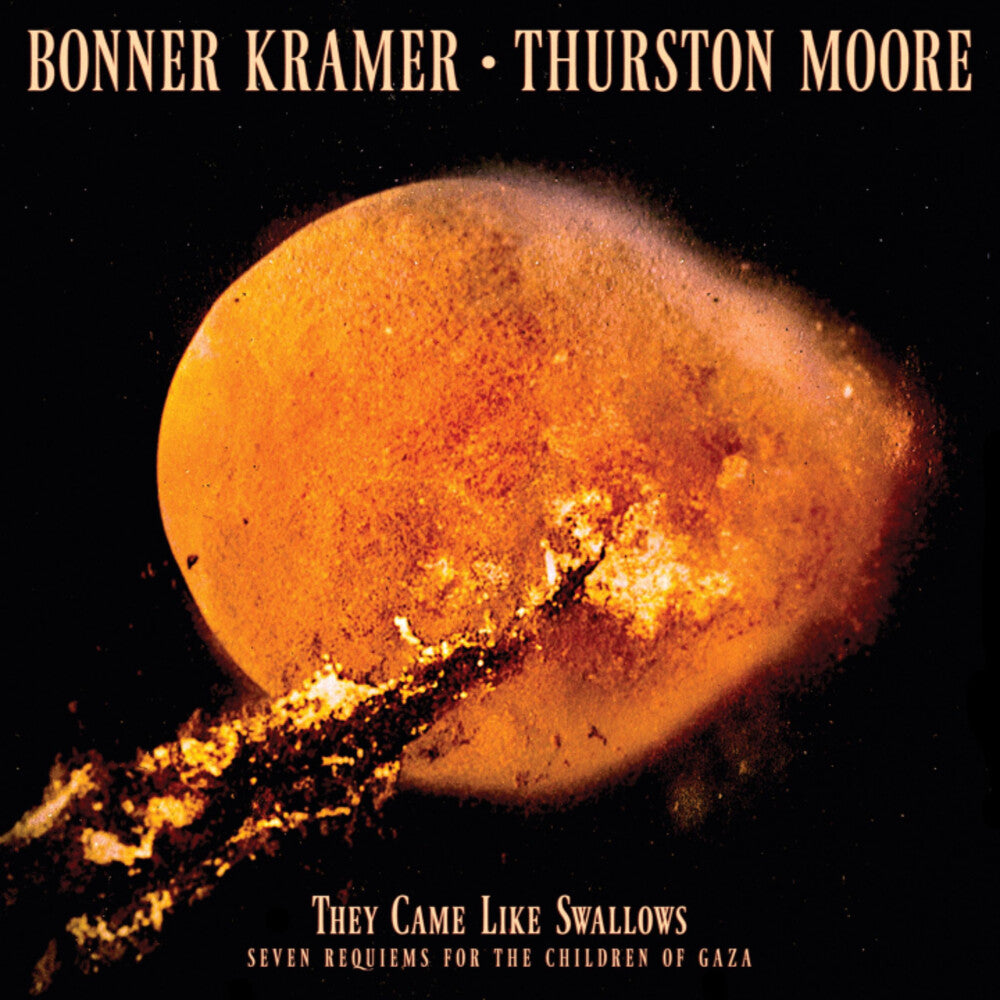 the album cover for Bonner Kramer/ Moore,Thurston - They Came Like Swallows - Seven Requiems