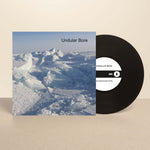 the album cover for Undular Bore - Undular Bore