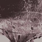 the album cover for Mark Ijzerman - Flounder Maps