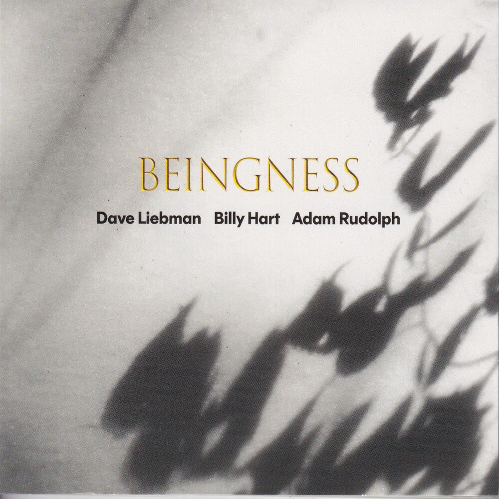 the album cover for Dave Leibman/ Hart,Billy / Rudolph,Adam - Beingness [Colored Vinyl] [Limited Edition] [180 Gram]