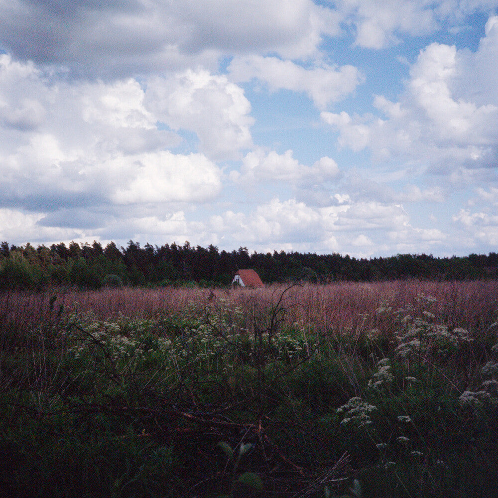 the album cover for Kris Tiner/ Pineda,Cathlene - Sung