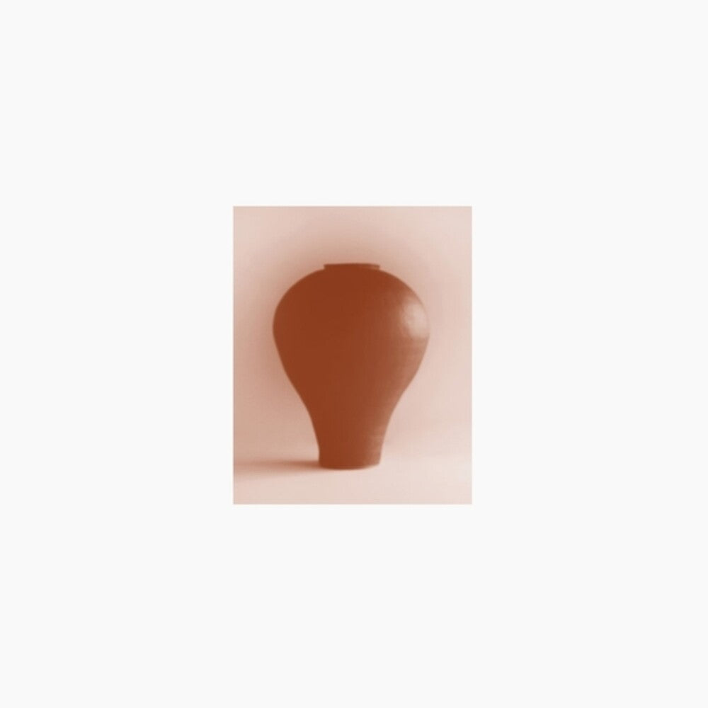 the album cover for Beatriz Ferreyra - Distracted Godc