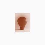 the album cover for Beatriz Ferreyra - Distracted Godc
