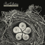 the album cover for Iverson & Walters - First Collection (Aniv) [Reissue]