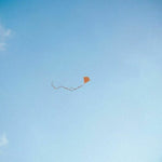 the album cover for Chris Stussy - Lost Found & Forgotten