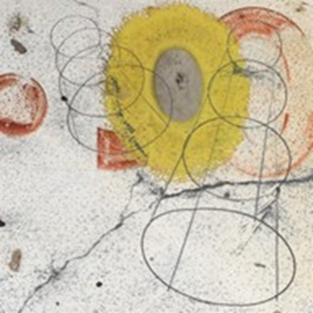 the album cover for Joel Futterman/ Parker,William - Transcendent Universe [Limited Edition]