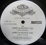 Sly & Lovechild : Spirit Of Destiny (12")