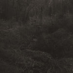 the album cover for Lesley Mok - Transient [Download Included]