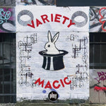 the album cover for Plug (aka Luke Vibert) - Variety Magic [3LP]