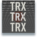the album cover for Various Artists - Toolroom Trax Sampler Vol. 4