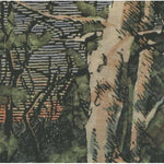 the album cover for Anomoanon - Asleep Many Years in the Wood