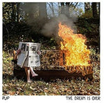 the album cover for Pup - Dream Is Over - Clear W/ Red & Orange Swirl [Clear Vinyl]