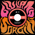the album cover for Giuliano Sorgini - Savana Selvaggia